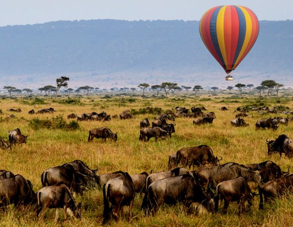 4 Days Safari Tarangire,Serengeti & Ngorongoro