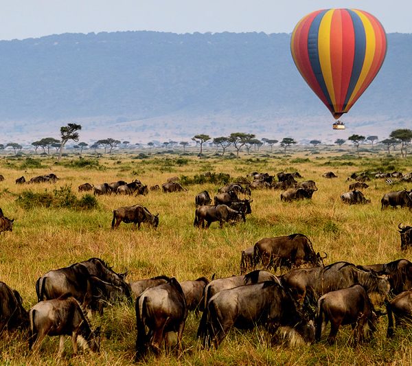 4 Days Safari Tarangire,Serengeti & Ngorongoro