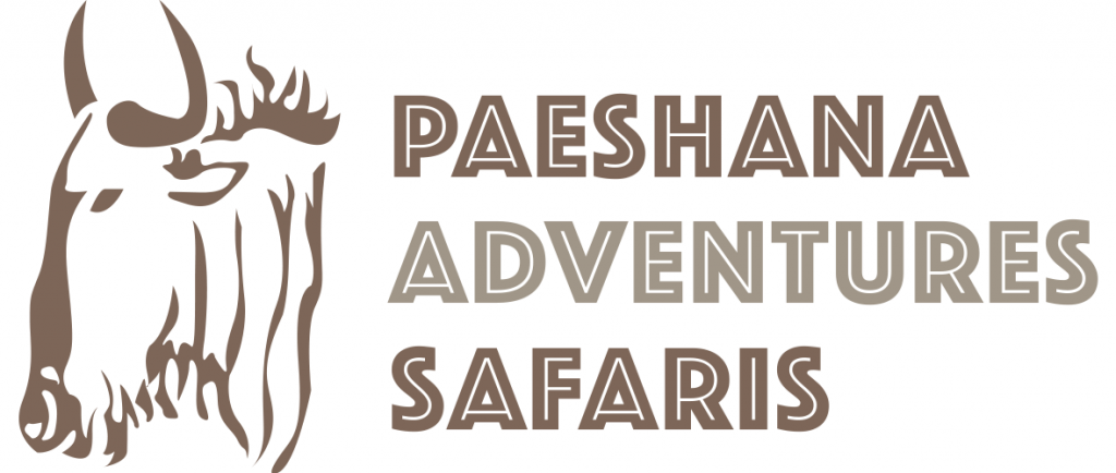 Paeshana Adventure Safaris